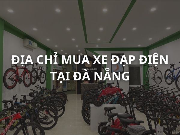 mua xe đạp điện tại đà nẵng