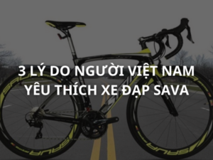 xe đạp sava việt nam