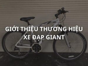 xe đạp giant 2222