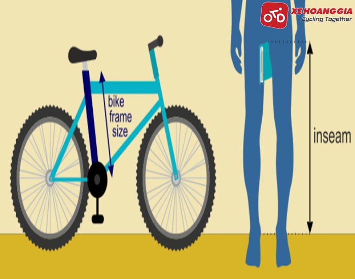 Cách chọn size xe đạp phù hợp